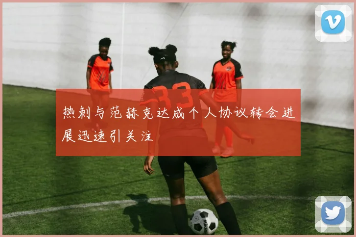 热刺与范赫克达成个人协议转会进展迅速引关注