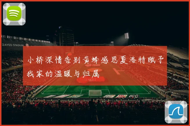 小桥深情告别黄蜂感恩夏洛特赋予我家的温暖与归属