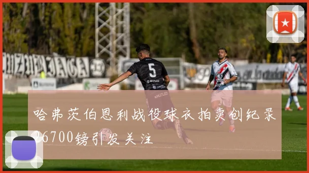 哈弗茨伯恩利战役球衣拍卖创纪录26700镑引发关注